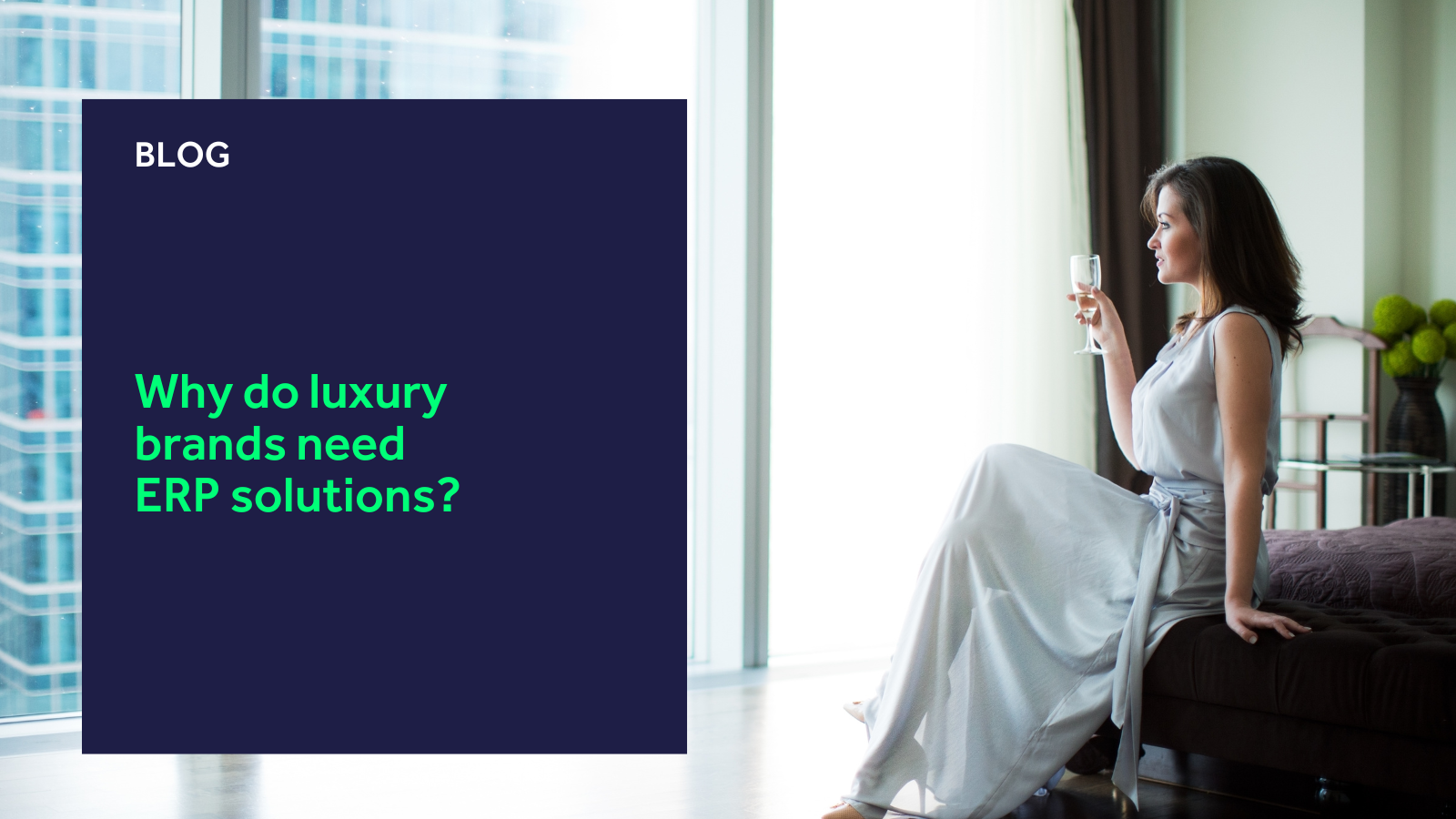 Why do luxury brands need ERP solutions? blog header